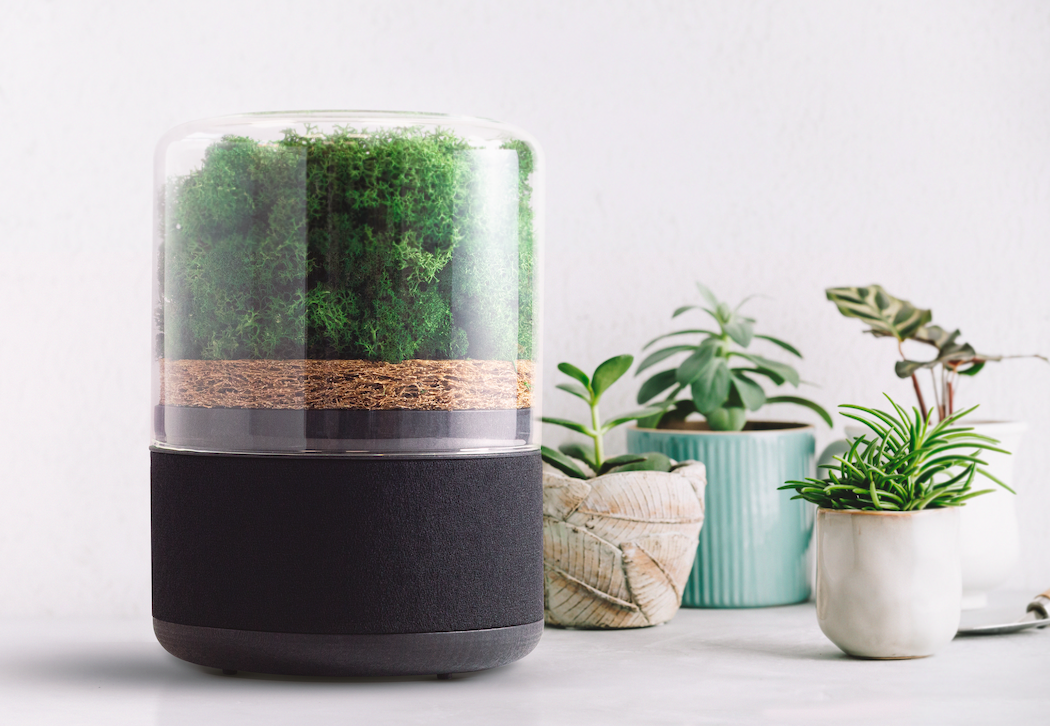 Briiv: The World&#39;s Most Sustainable Air Purifier